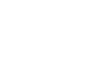Bodywork Professionals