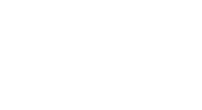 Bush Theatre
