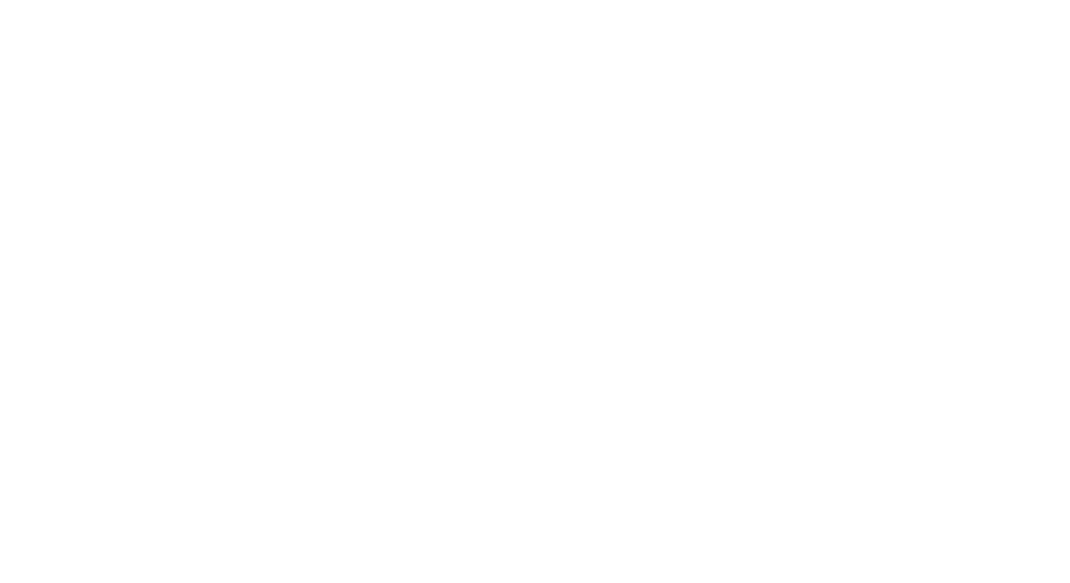 CycleX