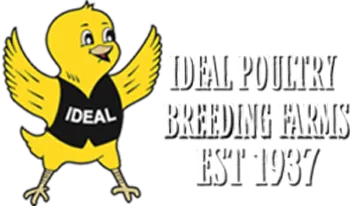 Ideal Poultry Breeding Farms