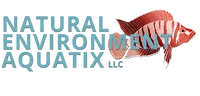 Natural Environment Aquatix