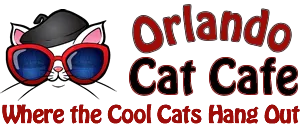 Orlando Cat Cafe