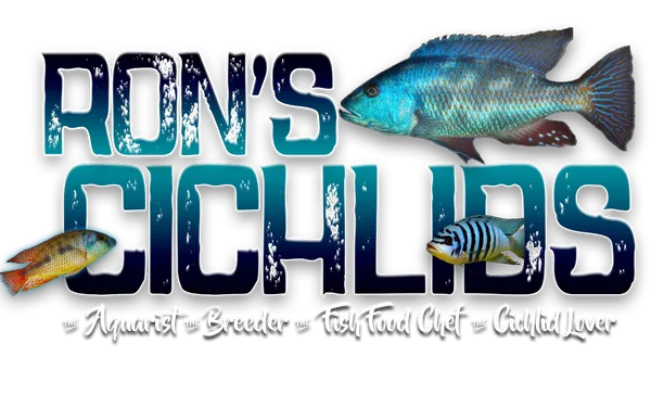 Ron's Cichlids