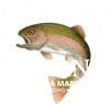 Lilleys Landing