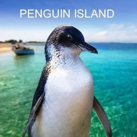 Penguin Island