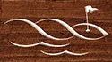 eBay Coupon