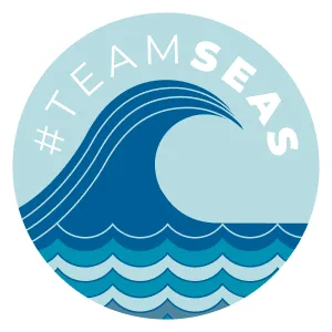 Teamseas