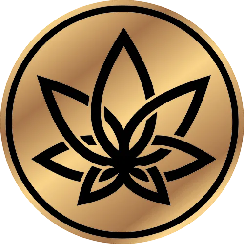 3Chi
