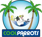 eBay Coupon
