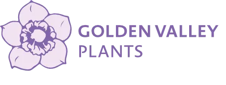 Golden Valley Plants