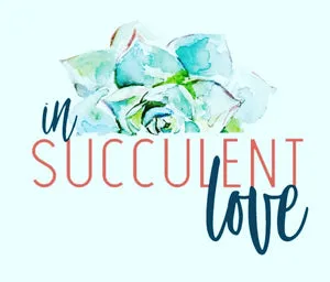 In Succulent Love