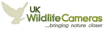 UK Wildlife Cameras