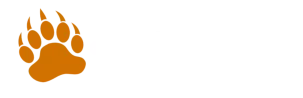 Bear Camp Cabins