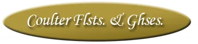 eBay Coupon