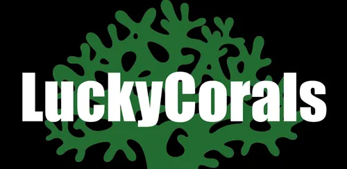 eBay Coupon