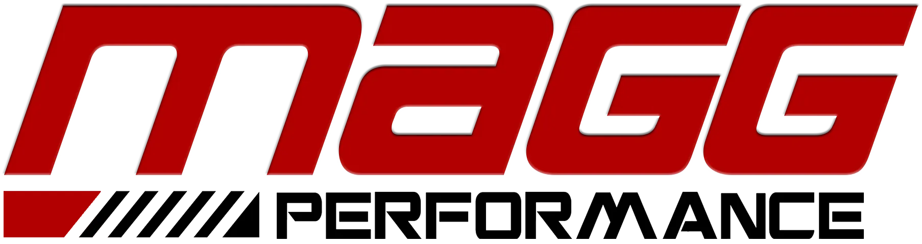 MAGG Performance