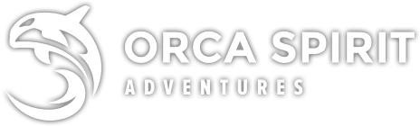 Orca Spirit