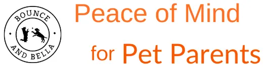 eBay Coupon