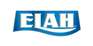 eBay Coupon