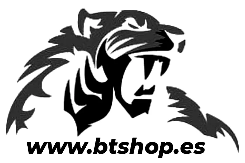 eBay Coupon