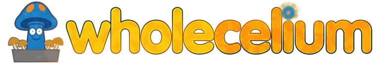 eBay Coupon