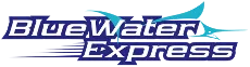 eBay Coupon