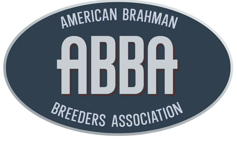 Brahman