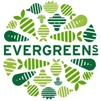 Evergreens