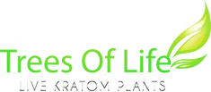 My Trees of Life