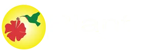 Plants for All Seasons