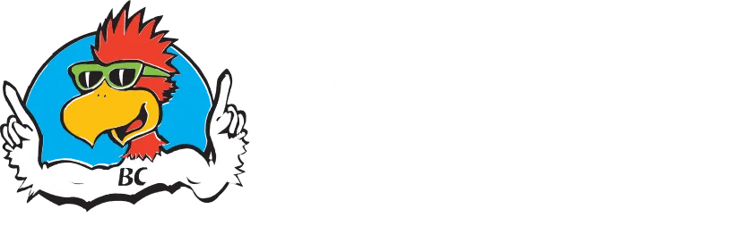 eBay Coupon