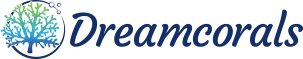 eBay Coupon