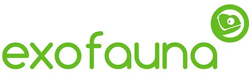 eBay Coupon