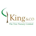 King & Co