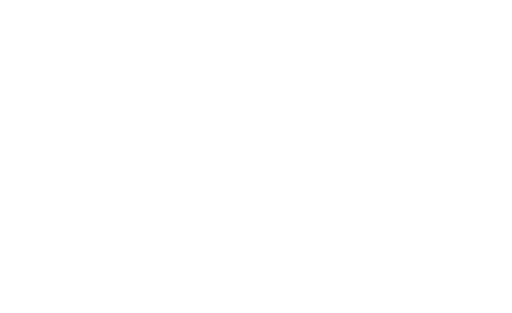 Economy Honda