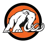Mammoth Interactive