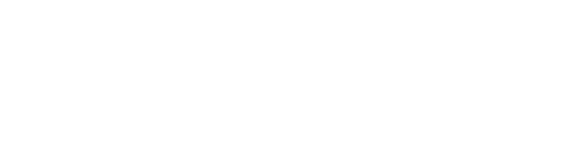Steiner Electric