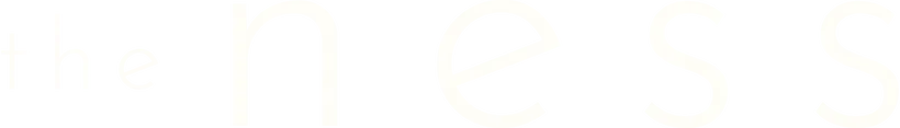 eBay Coupon