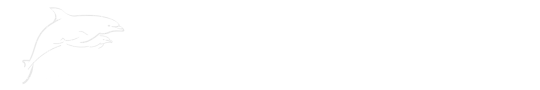 City Sightseeing Orlando