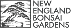 New England Bonsai Gardens