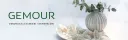 eBay Coupon