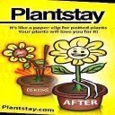 eBay Coupon
