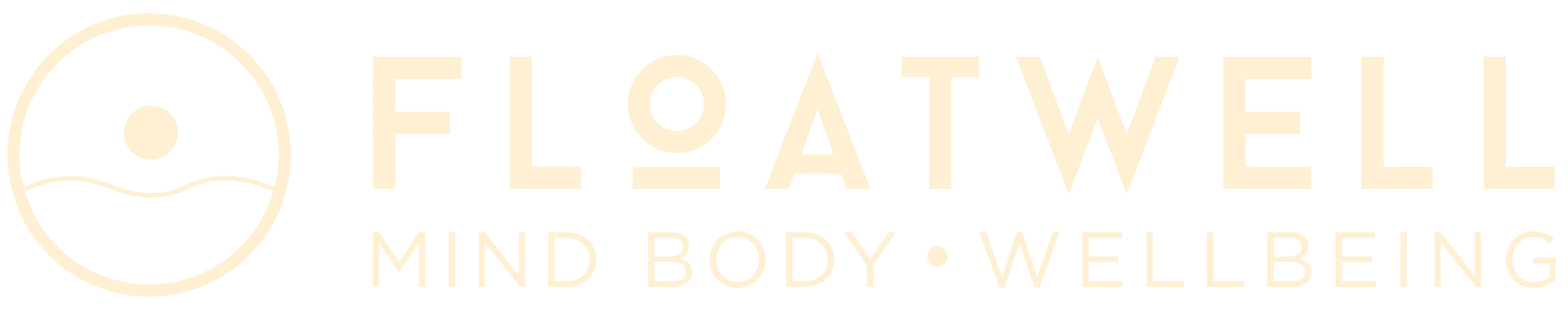 eBay Coupon