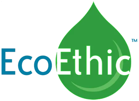 eBay Coupon