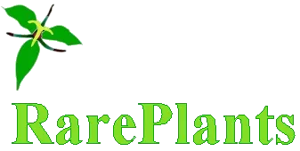Rareplants