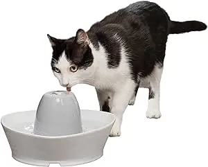 PetSafe  Creekside Ceramic Pet Fountain