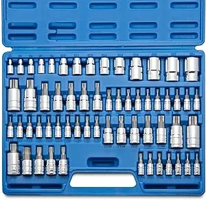 60-Piece NEIKO Master Torx Bit Socket & External Torx Socket Set