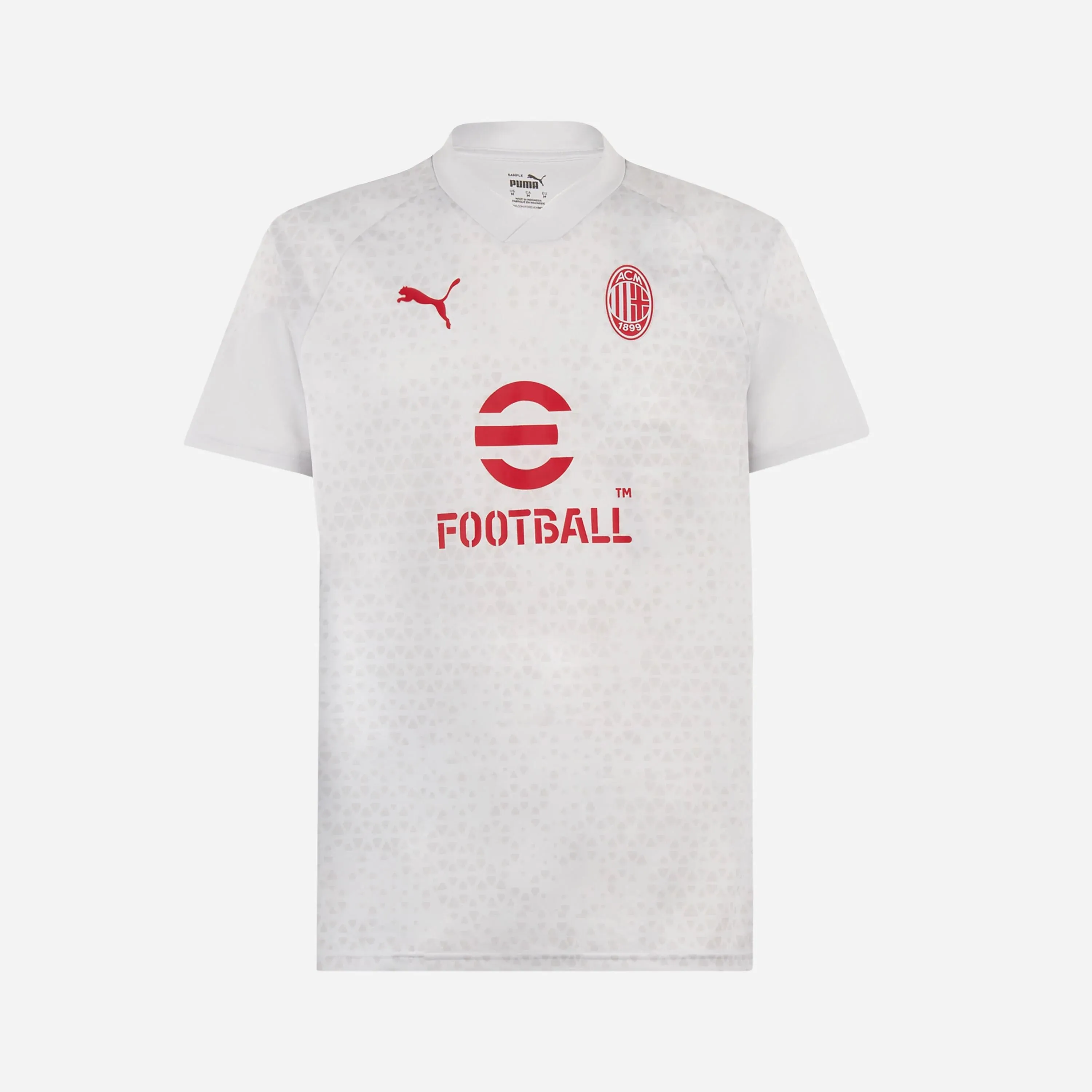 Puma Milan Training 2023/24 Jersey - male