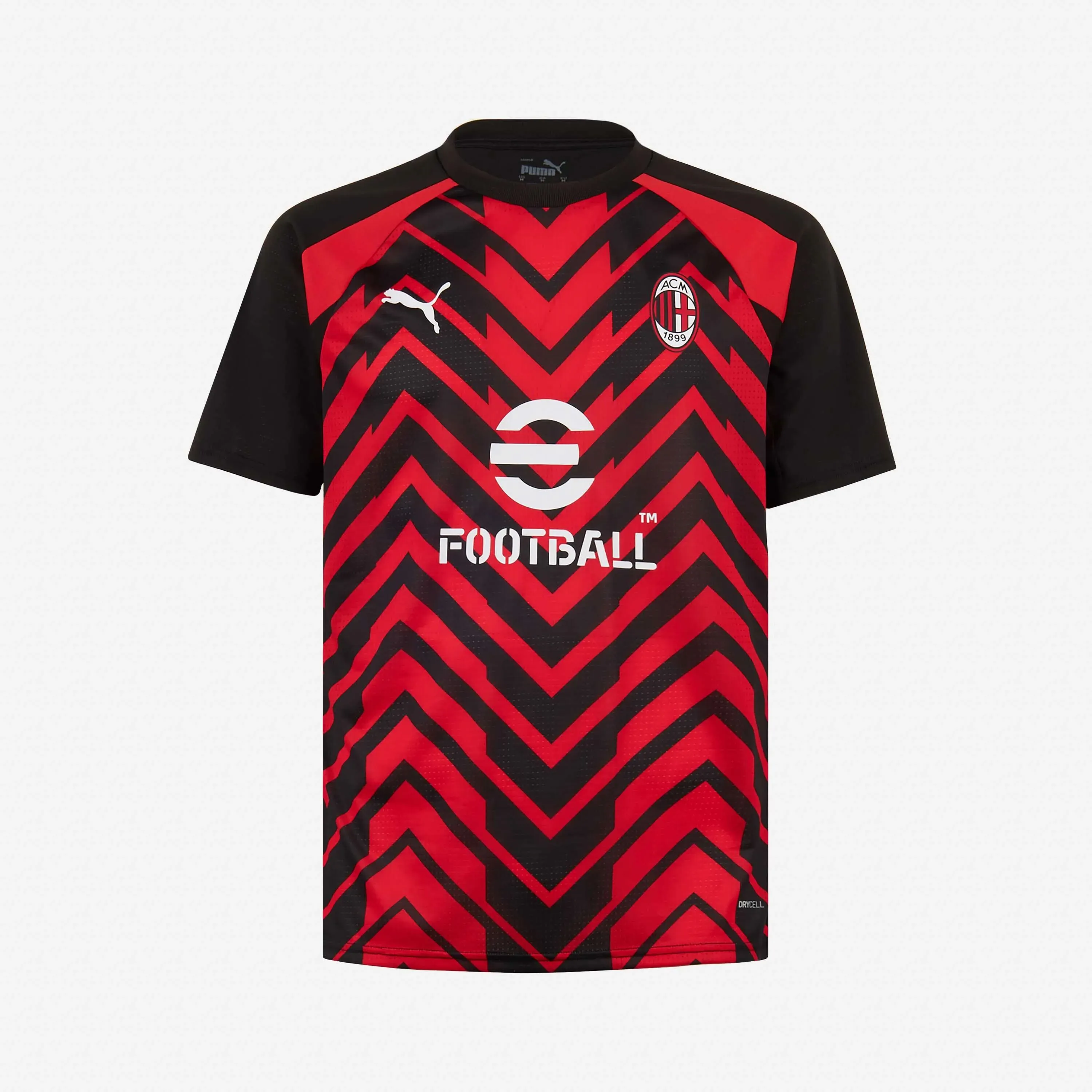 Puma Milan Prematch 2023/24 Jersey - male