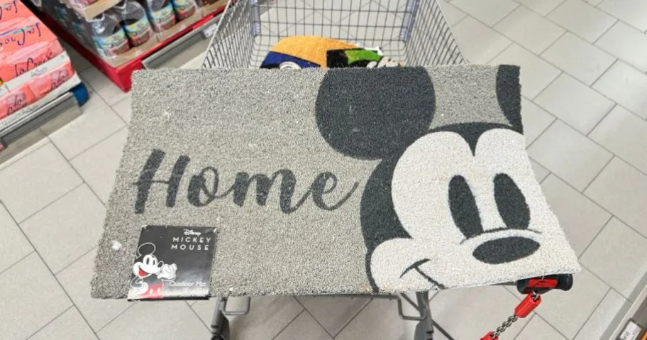 DisneyCoir Mat